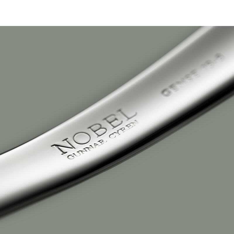 Nobel Fish knife