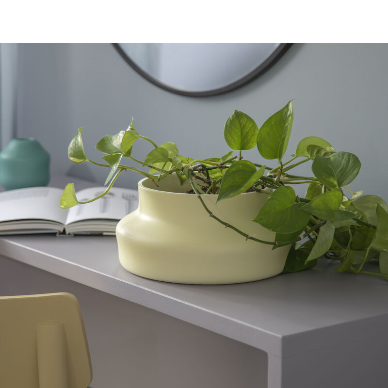 Dorotea Vase